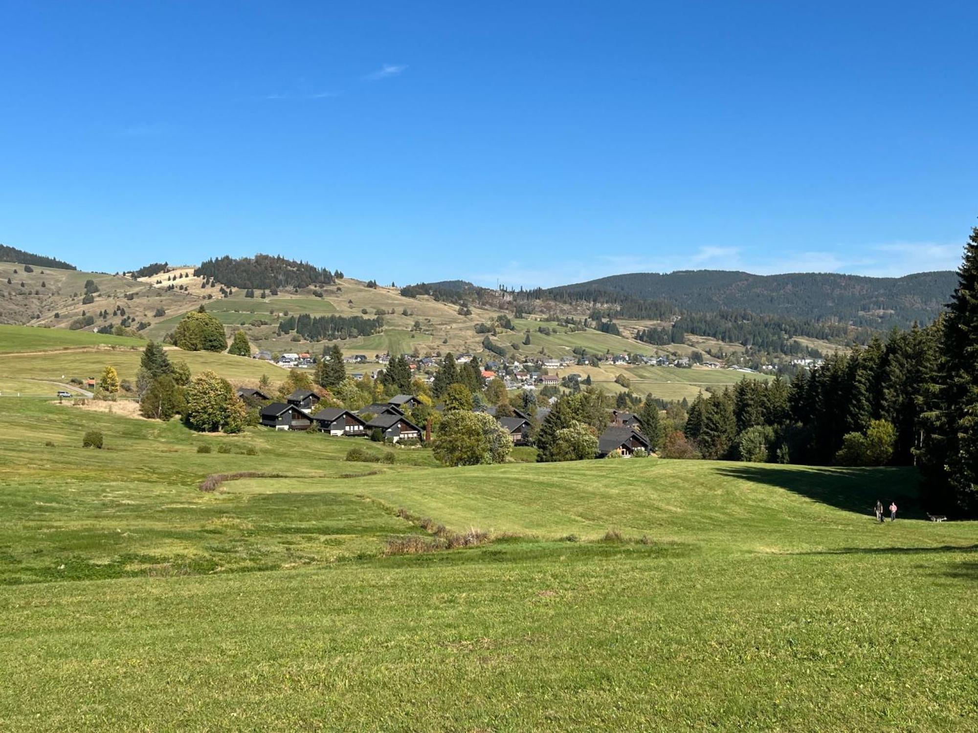 Apartment Schwarzwaldblick I By Interhome Bernau im Schwarzwald Eksteriør billede