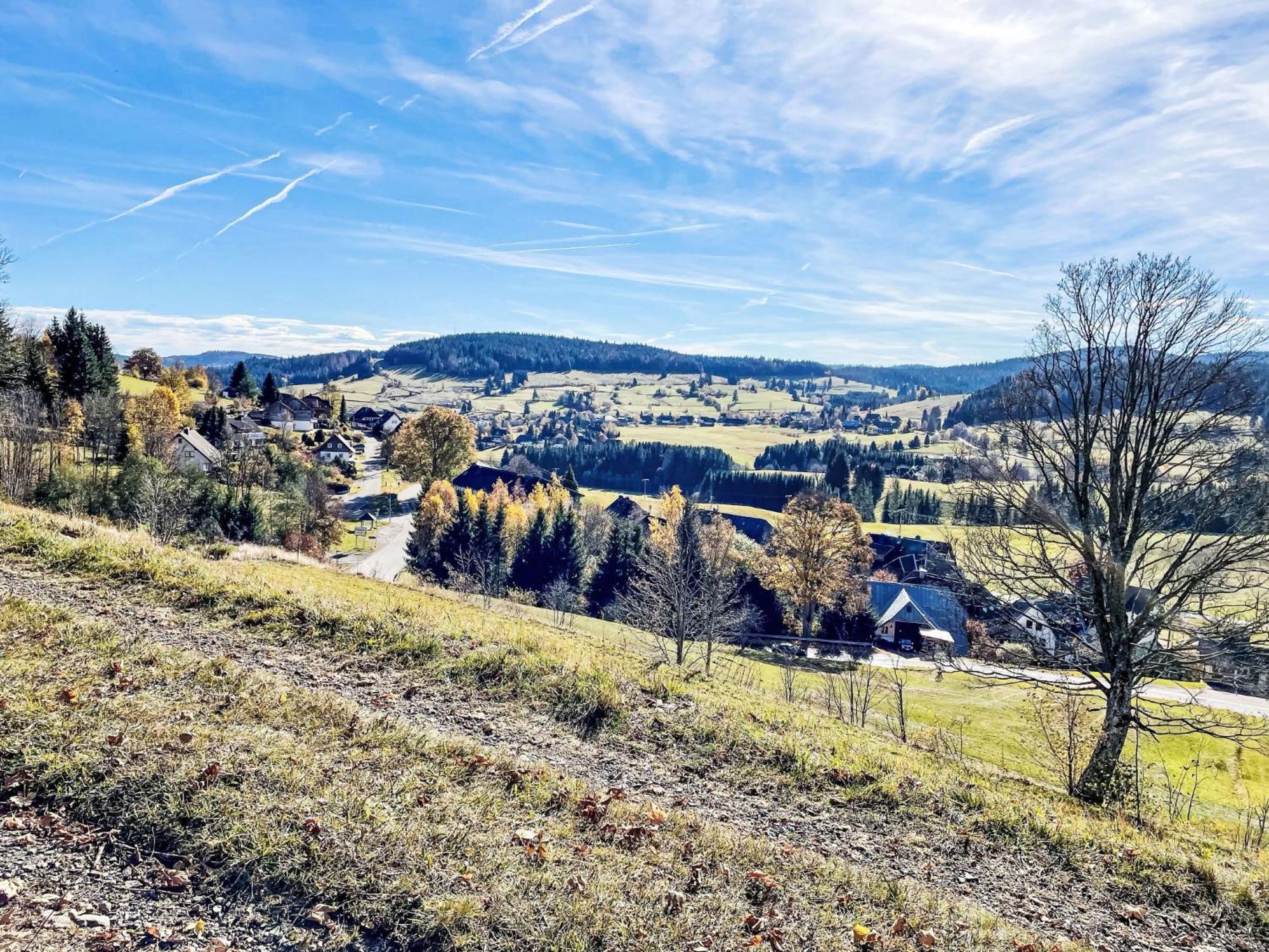 Apartment Schwarzwaldblick I By Interhome Bernau im Schwarzwald Eksteriør billede